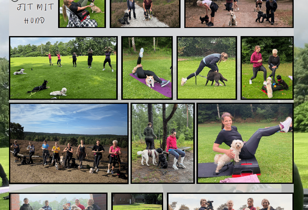 Special 2025: Fit mit Hund